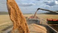 ONU: Bielorrusia permitirá tránsito de granos ucranianos sin condiciones