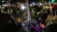 El joven pero enorme ahuehuete fue plantado el 5 de junio, Día Mundial del Medio Ambiente.