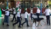 Perrito se cuela en festival navideño de escuela y se roba el show (VIDEO)