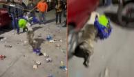 Perrito se roba piñata de fiesta y se hace viral en TikTok.
