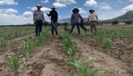 A lo largo de este año se realizaron más de 10 mil 400 asambleas donde se promovió el cambio de formas de producción hacia fórmulas agroecológicas, señaló la Sader.