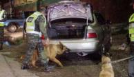 Un oficial de la Policía Militar de Honduras utiliza un perro rastreador durante una inspección de vehículos, en Tegucigalpa