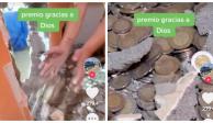 A través de redes sociales se volvió viral el video en el que unos albañiles encuentran cientos de monedas entre una pared