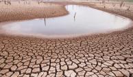 Tres estados inician el año con sequía extrema
