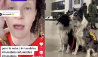 Mujer argentina denigra trabajo de los perritos mexicanos rescatistas en Turquía