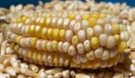 Estados Unidos, decepcionado por decreto sobre maíz transgénico.