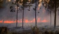 Incendio forestal de gran magnitud y sin control afecta zona oriente de Cuba