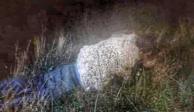 Un sentenciado a 15 años de prisión intentó escapar de la cárcel disfrazado de oveja