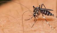 Se triplican casos de dengue en dos meses