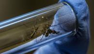 En México ya se registró una muerte por dengue, confirmada por la Ssa.
