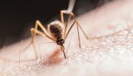 Dengue aumenta 147% y le pega a 19 entidades