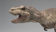 El Tiranosaurio rex tenía labios, de acuerdo a un estudio publicado en la revista Science.