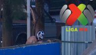 Una persona saltó a la cancha del Estadio Gregorio Tepa Gómez con la máscara del gladiador Rey Mysterio