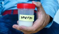 Un hombre tuvo 550 hijos a través de la donación de espermas en Países Bajos.