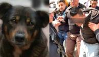 A proceso Sergio 'N', quien arrojó a un perrito a un cazo, por homicidio calificado en grado de tentativa