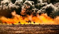 Camellos en campos de petróleo en llamas, Kuwait, 1991.