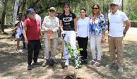 Se plantarán 3 mil árboles en la alcaldía Álvaro Obregón: Lía Limón.