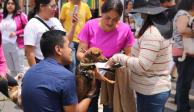Animal Fest ofreció esterilizaciones y productos para las mascotas.