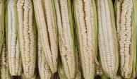 En México se produce un promedio de 27 millones de toneladas de maíz blanco cada año en una superficie de más de siete millones de hectáreas.