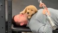 Un perrito demuestra cariño a un hombre en el gym