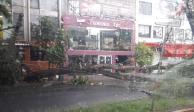 Lluvias CDMX: Árboles caen sobre vías del tren ligero en Tlalpan