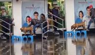Comerciantes de Iztapalapa apoyan a un perrito ara que pase una calle inundada.