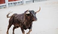 Muere un hombre tras ser corneado por un toro en una fiesta española.