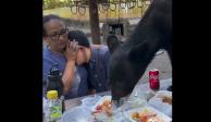 Madre cubre rostro de su hijo cuando oso les roba la comida