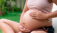 La licencia de maternidad podría ampliarse en caso de aprobarse esta iniciativa.