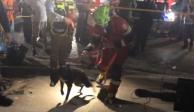 El rastreo de personas con vida tras el colapso de una iglesia en Tamaulipas continúa, ahora con el apoyo de un binomio canino