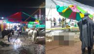 Caballo muere electrocutado en Feria de Xonacatlán, Edomex