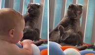 Un gato se queda inmóvil para no llamar la atención de un bebé que se dirige hacia él