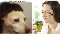 Los memes destrozan a Nicki Nicole por decirle perro a Peso Pluma
