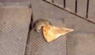 Captan el 'regreso' de la rata de la pizza en el metro de Nueva York