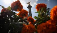 Festival de las Flores de Cempasúchil llega este miércoles 18 de octubre a Paseo de la Reforma.