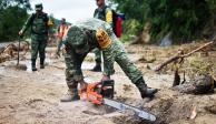 Elementos de la Sedena despliegan acciones tras el paso del huracán 'Otis' por Acapulco, Guerrero