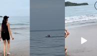 VIDEO del momento en que un tiburón ataca a un turista en playa de Zihuatanejo