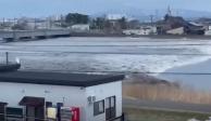 Llegan olas de tsunami a Japón.