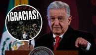 El Presidente López Obrador celebró la decisión del&nbsp;TEPJF de no prohibir su libro.&nbsp;