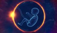 Hospital de Alabama frena tratamientos de fertilización tras reconocimiento de embriones como niños.
