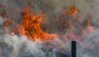 Al menos 77 incendios forestales activos en el país: Conafor.