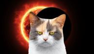 El eclipse solar podría afectar el comportamiento de los animales.