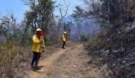 Continúan los incendios en el Parque Nacional El Veladero de Acapulco.