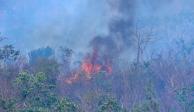 Incendios en el Parque Nacional El Veladero de Acapulco