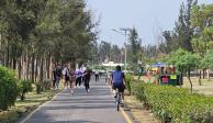 Capitalinos, ayer, al hacer actividades deportivas en un parque de la ciudad.