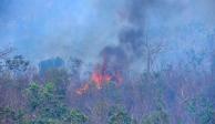 Hay 109 incendios forestales activos en México