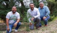 Destacan impulso de acciones en favor del medio ambiente en Veracruz.