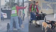 Perros empujan carrito de super en video viral.