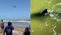 Tiburón ataca a personas durante festejos del 4 de Julio en Isla del Padre, Texas.