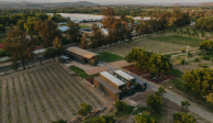 Viñedo Tierra y Almas, ubicado en Tecozautla, Hidalgo.